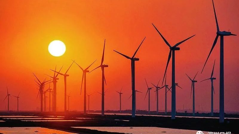 新能源公司品牌报价对比：揭秘选购背后的关键要素